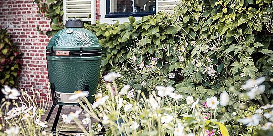 ���� �����/����� ���� 38 �� Big Green Egg Medium BGE