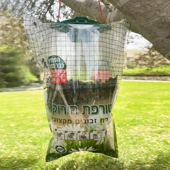 ������ ������ � ������ ������ ������� ����� GREEN-PLACE