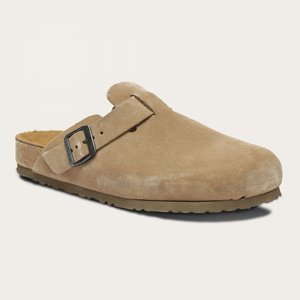 ����� 2 ���� ��� ��� ��� ��� ���� ��� ���� Teva Naot