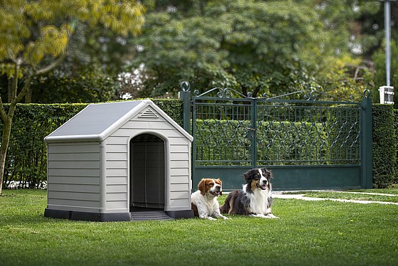 ����� ���� DOG HOUSE ��� Keter