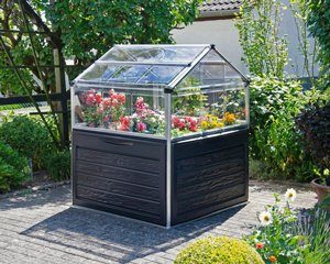 ���� ���� ����� PLANT-INN 1.2x1.2 ��
