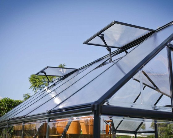 ���� ����� 3.6x3 VICTORY ORANGERY ���� ����