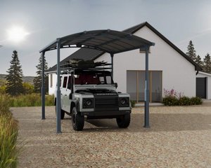 ���� ������ ALPINE �����