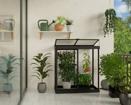 ���� ����� 1.3x0.6 IVY