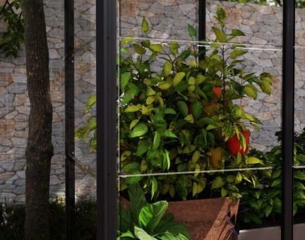���� ����� 1.3x0.6 IVY