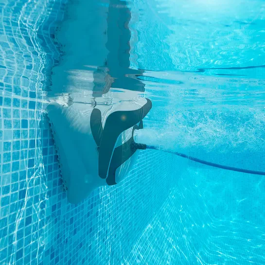 ����� ������ Dolphin Easy Comfort � ����� ���, ����� ���� ����