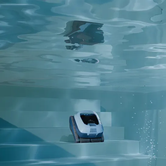 ����� ������ Dolphin EON 100 - ����� ����� ������ ����� �� ���������� ����� ����