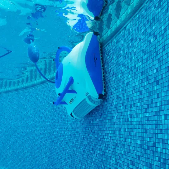 ����� ������ Dolphin RACER XO � ����� ��� ������� ������ ���� ����� �� �����