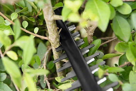 ���� ��� ��� ��� ���� ���� ������ BOSCH 0849.F00 AHS 50-20 LI 2.5Ah