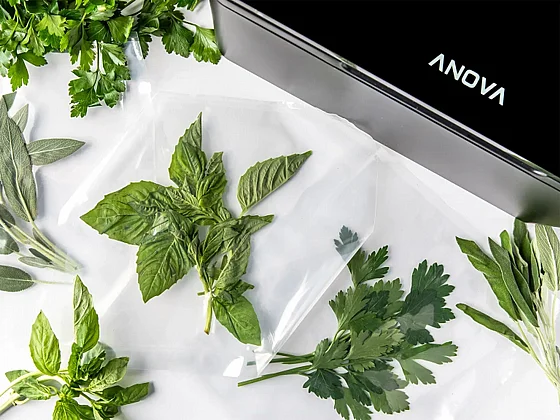����� ������ ����� Anova Chamber Vacuum Sealer