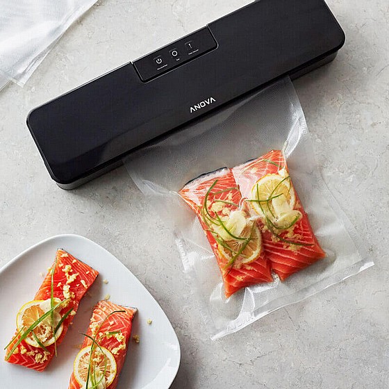 ����� ������ ANOVA VACUUM SEALER