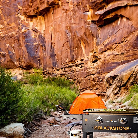 ���� �� ������� ���� BLACKSTONE 28