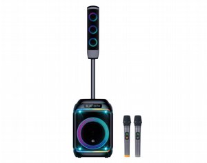 ����� ����� ���� ���� Pure Acoustics Dancer X800 ������ 250W