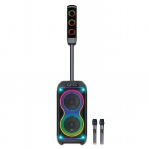 ����� ����� ���� ���� Pure Acoustics Dancer X820 ������ 350W
