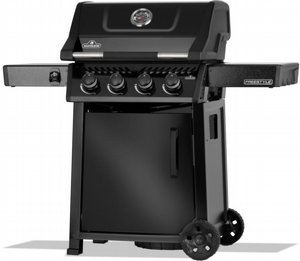 ���� �� �������� NAPOLEON FREESTYLE 425 IL ���� �� ��� � 4 ������