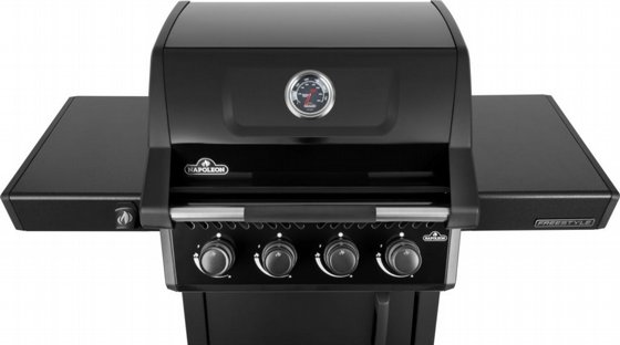���� �� �������� NAPOLEON FREESTYLE 425 IL ���� �� ��� � 4 ������