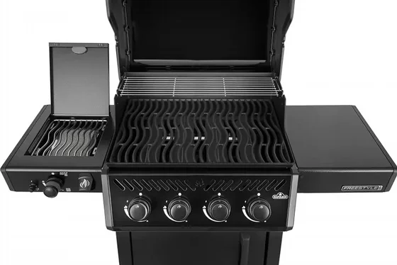 ���� �� �������� FREESTYLE PRO 425 IL �� ���� �� ������ ���� � ����