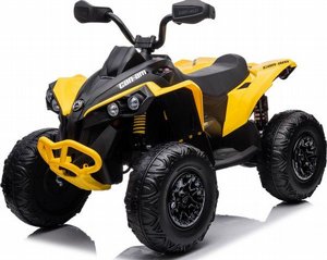 �������� ����� CAN-AM RENEGADE 24V � ������ �����