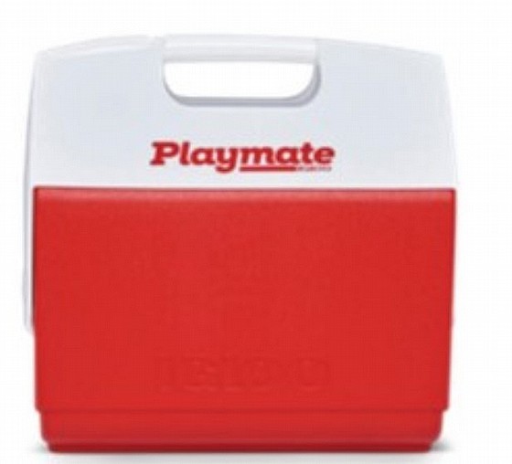 ������ Elite Playmate ����� ���� �� 15 ���� ���� ���� IGLOO