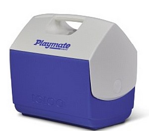 ������ Elite Playmate ����� ���� �� 15 ���� ���� ���� IGLOO