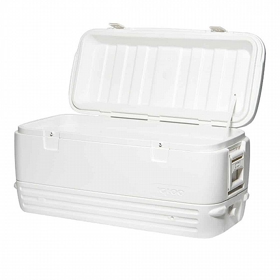 ������ ����� 113 ���� IGLOO POLAR