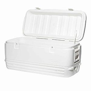 ������ ����� 113 ���� IGLOO POLAR
