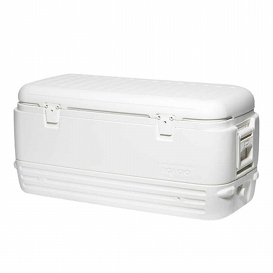 ������ ����� 113 ���� IGLOO POLAR