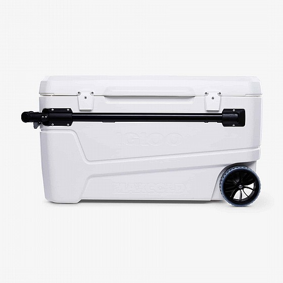 ������ ����� 104 ���� IGLOO GLIDE SUNSET 