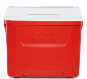 ������ Laguna ����� 26 ���� ��� ���� IGLOO