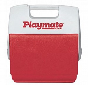 ������ Pal Playmate ����� ���� �� 6 ���� ���� ���� IGLOO