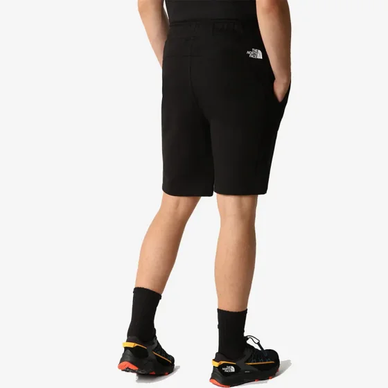 ������� ����� ���� ���� The North Face Men�s Summer Logo Short �  Black
