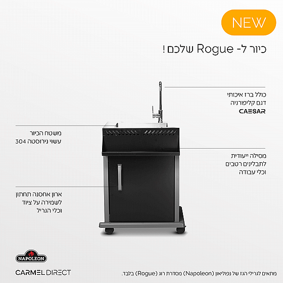 ����� ���� ��������� ��� ��� ����� Napoleon Rogue