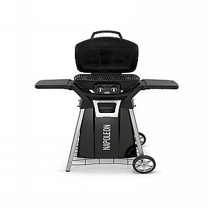 ���� �� ���� �������� 2 ������ ���� Napoleon PRO285