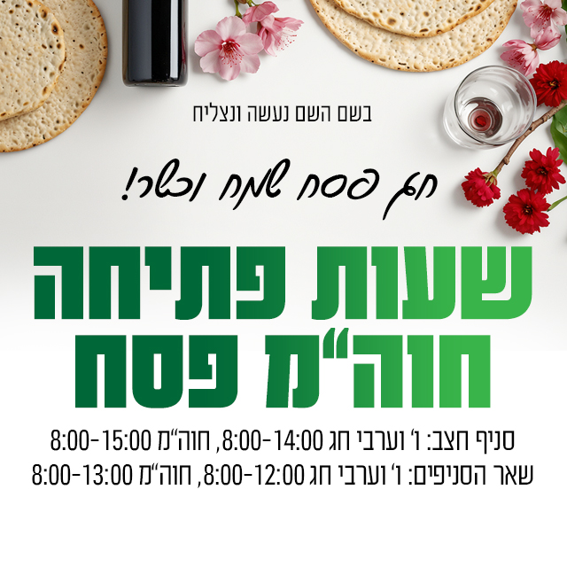 ���� ������ ����