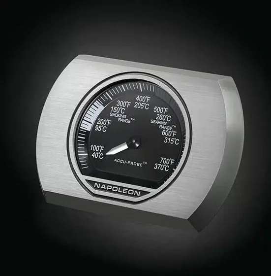 ���� �� �������� ��� ���� 2 ������ �������� Napoleon ROGUE 365 IL