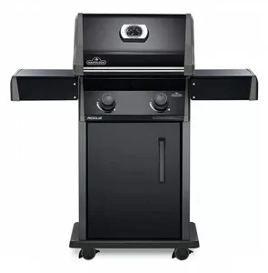 ���� �� �������� ��� ���� 2 ������ �������� Napoleon ROGUE 365 IL