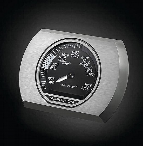 ���� �� ROGUE 425SB ����