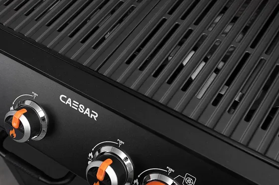 ���� �� 4 ������ ����������� ����� ������ ������� Caesar RUBICON GRILL 4