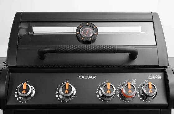 ���� �� 4 ������ ����������� ����� ������ ������� Caesar RUBICON GRILL 4