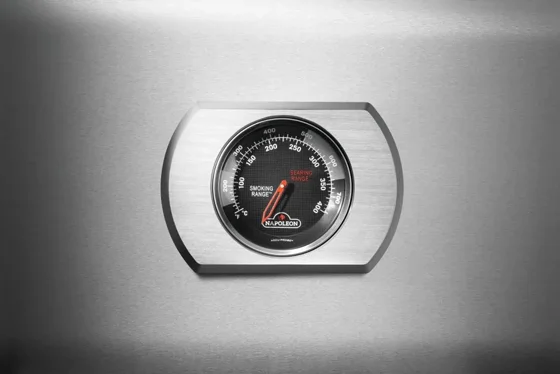 ���� �� �������� ��� ���� 3 ������ ������� NAPOLEON Rogue PRO-S 425 RSIB ���� 