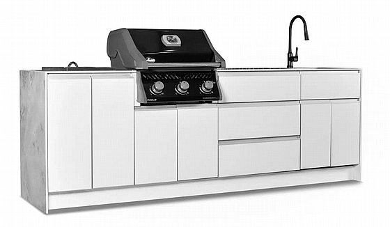���� �� ROGUE 425 IL ���� ���� Built In + ���� ������ ����� Napoleon ROGUE 425 IL