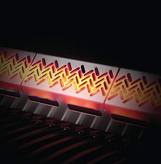 ���� �� ROGUE SE 425 ����