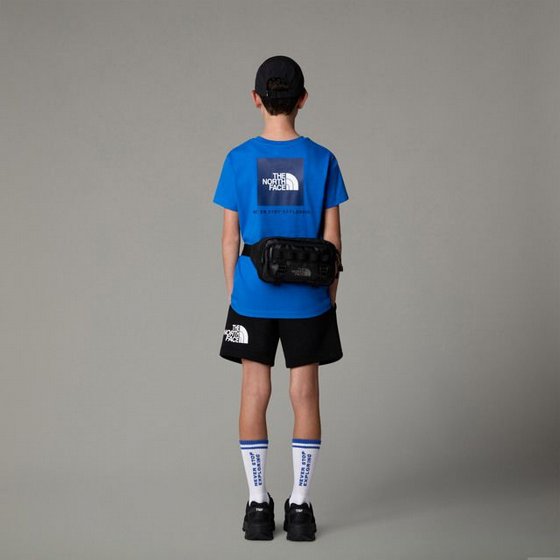 ���� ���� North Face LOGOWEAR TNF - LW - COTTON TEE B BOX NSE S/S TEE �����