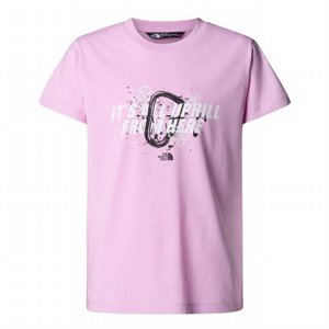 ����� ���� ���� ���� North Face LOGOWEAR TNF - LW - COTTON TEE G GRAPHIC RELAXED S/S TEE �����