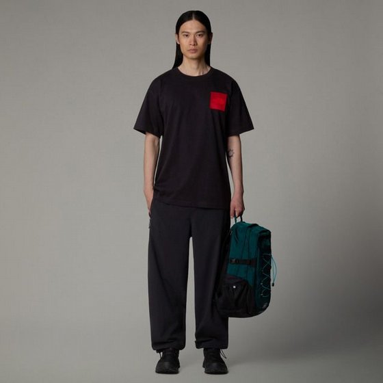 ���� ���� North Face LOGOWEAR TNF - LW - COTTON TEE M S/S 40TH ANNIVERSARY MOUNTAIN JACKET HEAVYWEIGHT TEE -GRAPHIC �����