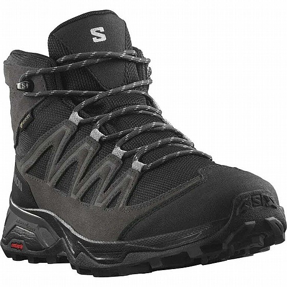 ���� ���� ������ ������ ���� ���� Salomon X WARD LEATHER MID GORE-TEX