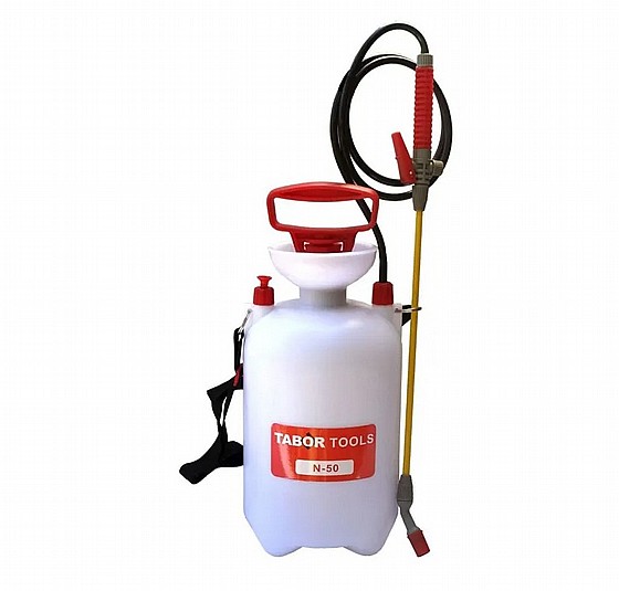 ������ �����